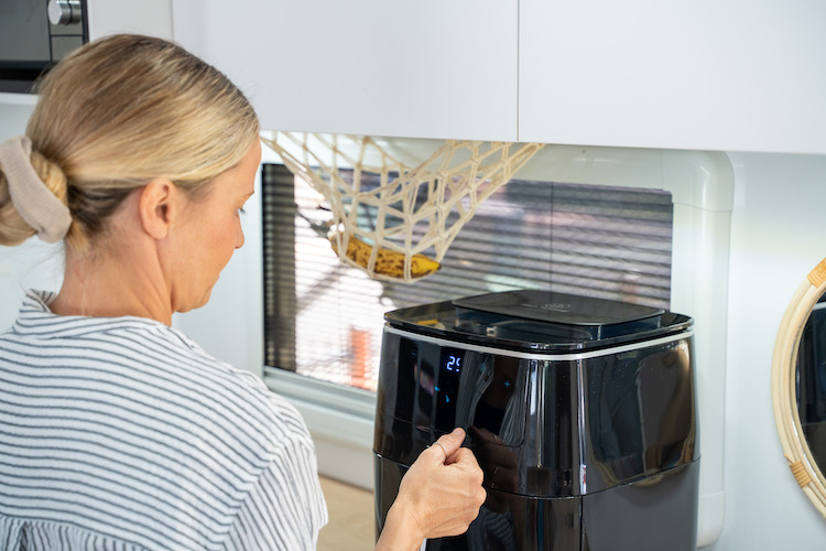 3-in-1 air fryer