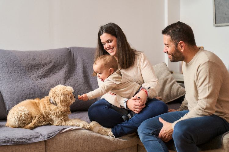 Tips for Making the Most of Your Heater
