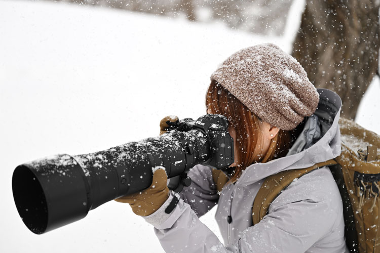 Top Cameras of 2024