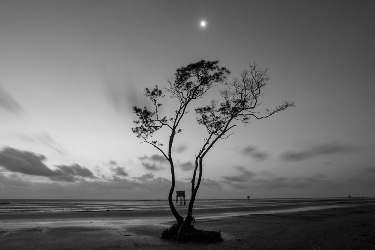 Photography Trends to Embrace in 2024