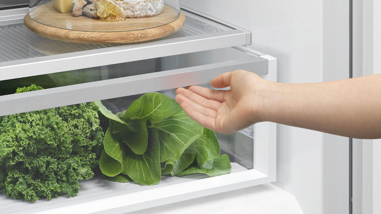 Fisher & Paykel 498L Quad Door Fridge