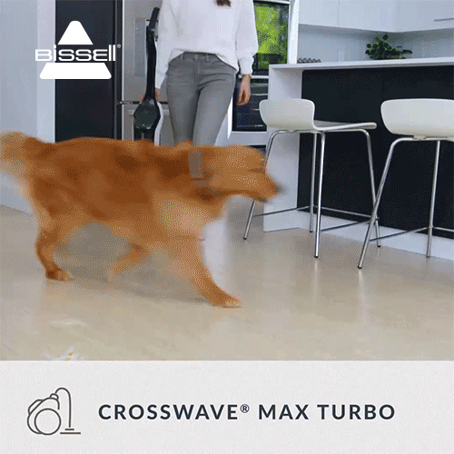 Bissell’s CrossWave Multi-Surface Cleaner Vacuum 