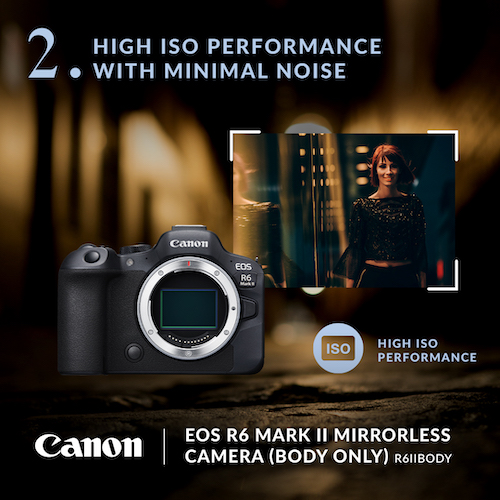 For low-light photography, a higher ISO setting is essential