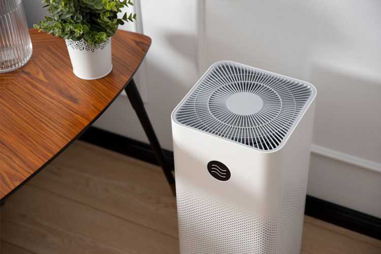 How Air Purifiers Work