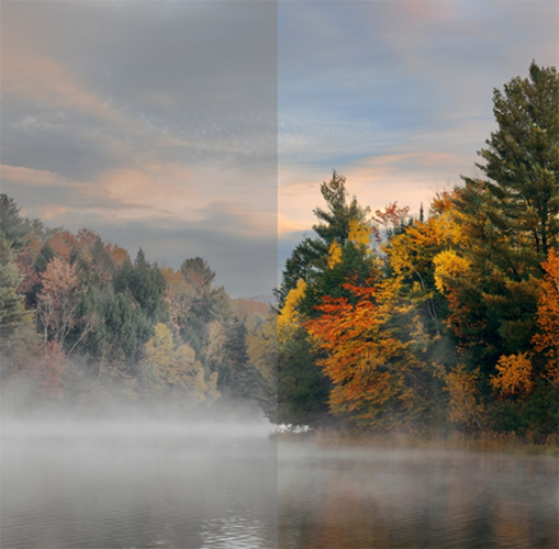 Mirrorless Camera - Full HD or 4K and 6K videos