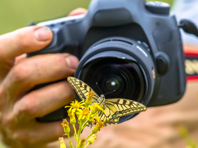 Spring Photography Tips