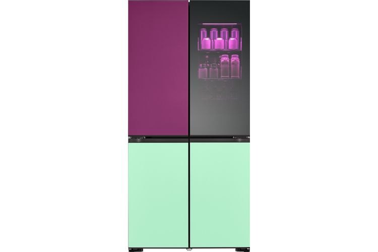 LG Fridge with Advanced cooling technology