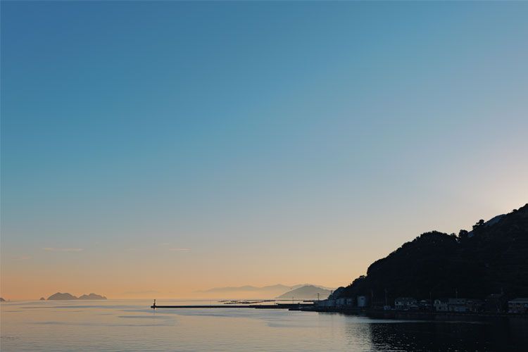 Lumix S9 Camera Lense