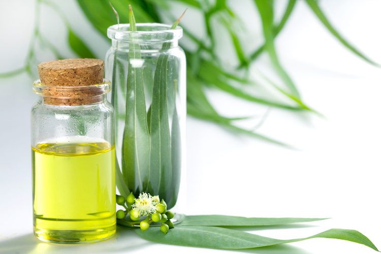 Eucalyptus & Lavender Oil for Cleaning